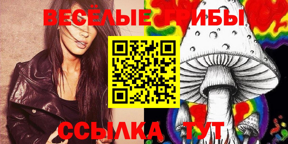 Псилоцибиновые грибы прущие грибы  Вход с VPN  Апшеронск 